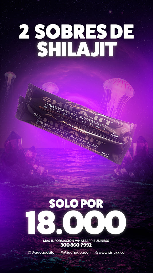 Sachet shilajit x2